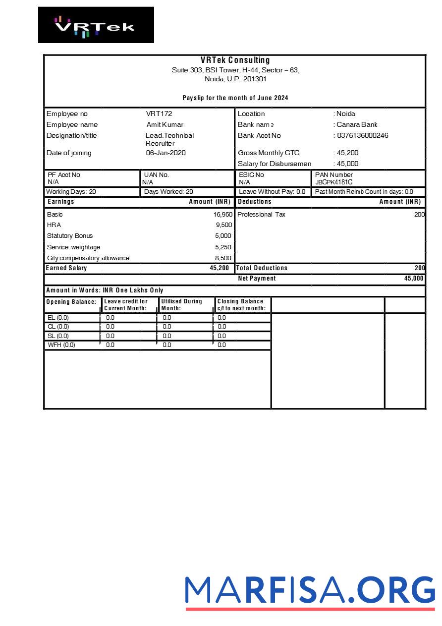 Realistic VRTek Consulting payslip template